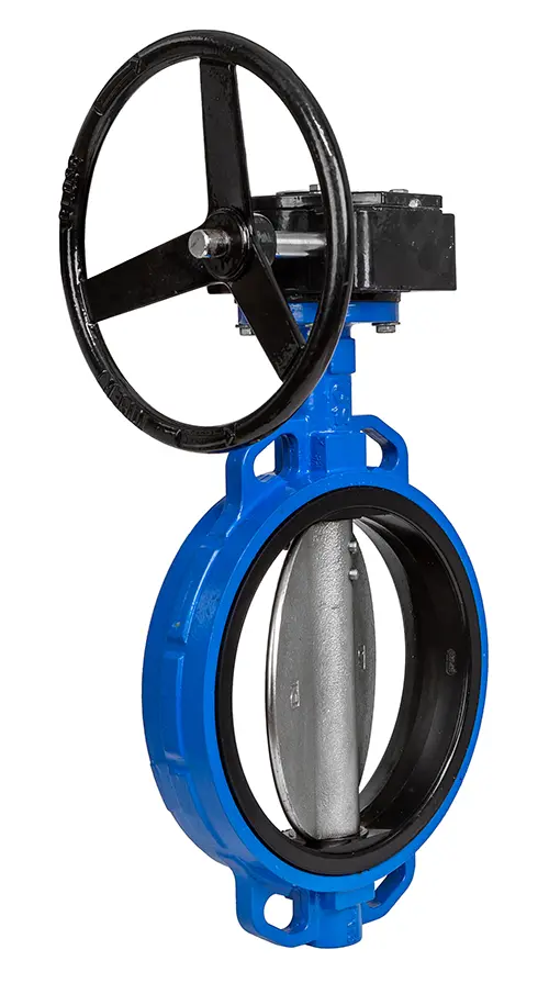 バタフライバルブ