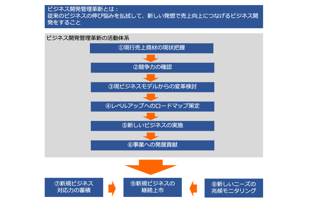 図3　ビジネス開発管理の活動体系